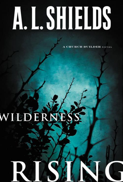 Cover of the book Wilderness Rising by A.L. Shields, Zondervan