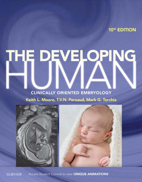 Cover of the book The Developing Human E-Book by Keith L. Moore, BA, MSc, PhD, DSc, FIAC, FRSM, FAAA, T. V. N. Persaud, MD, PhD, DSc, FRCPath (Lond.), FAAA, Mark G. Torchia, MSc, PhD, Elsevier Health Sciences