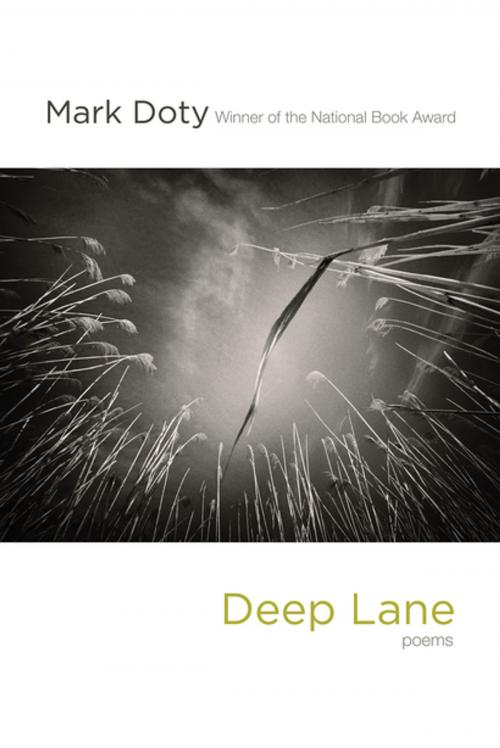 Cover of the book Deep Lane: Poems by Mark Doty, W. W. Norton & Company