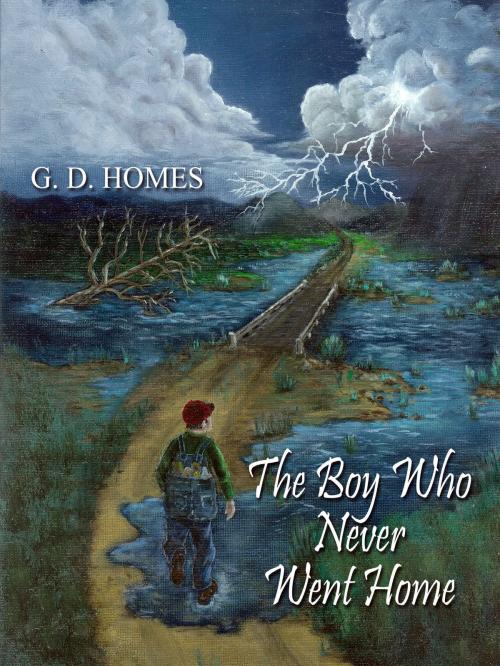 Cover of the book The Boy Who Never Went Home by G. D. Homes, G. D. Homes