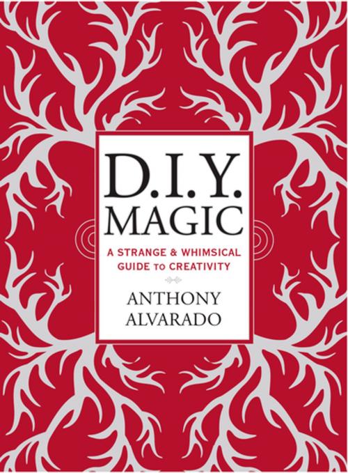 Cover of the book DIY Magic by Anthony Alvarado, Penguin Publishing Group