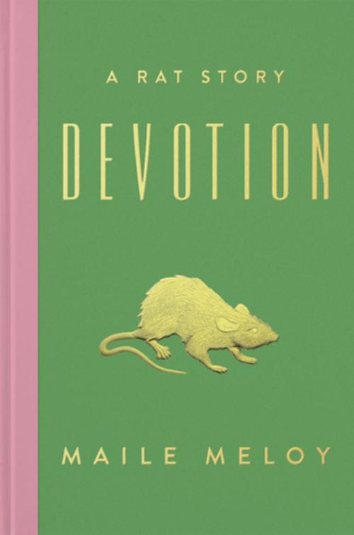 Cover of the book Devotion by Maile Meloy, Penguin Publishing Group