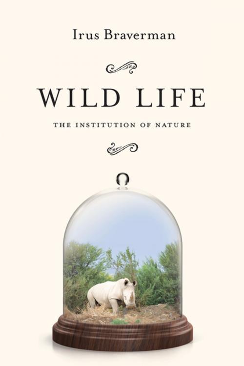 Cover of the book Wild Life by Irus Braverman, Stanford University Press