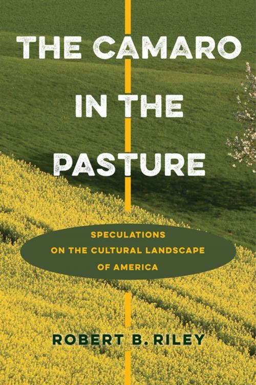 Cover of the book The Camaro in the Pasture by Robert B. Riley, University of Virginia Press