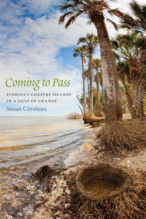 Cover of the book Coming to Pass by Susan Cerulean, David Moynahan, University of Georgia Press