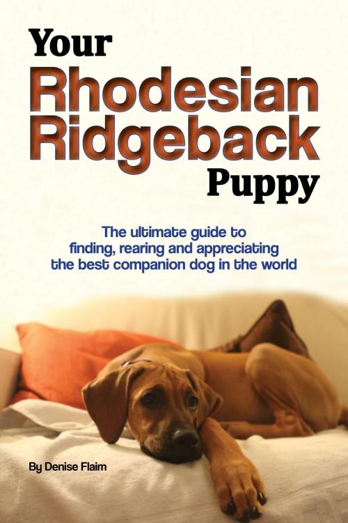 Cover of the book Your Rhodesian Ridgeback Puppy by Denise Flaim, Revodana Publishing