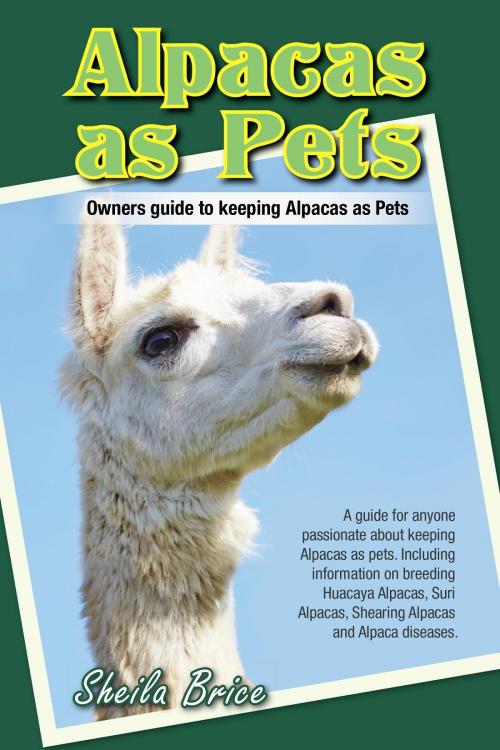 Cover of the book Alpacas as Pets: Owners guide to keeping Alpacas as Pets by Sheila Brice, Gohas