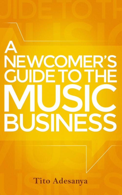 Cover of the book A Newcomer's Guide to the Music Business by Tito Adesanya, Triple 7 Publishing