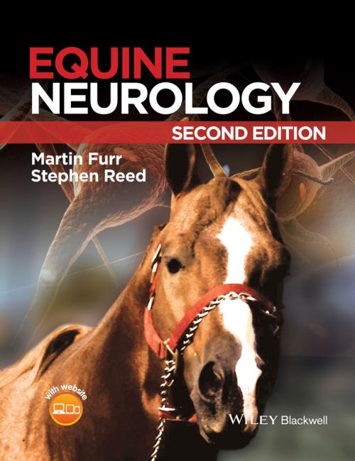 Cover of the book Equine Neurology by , Wiley