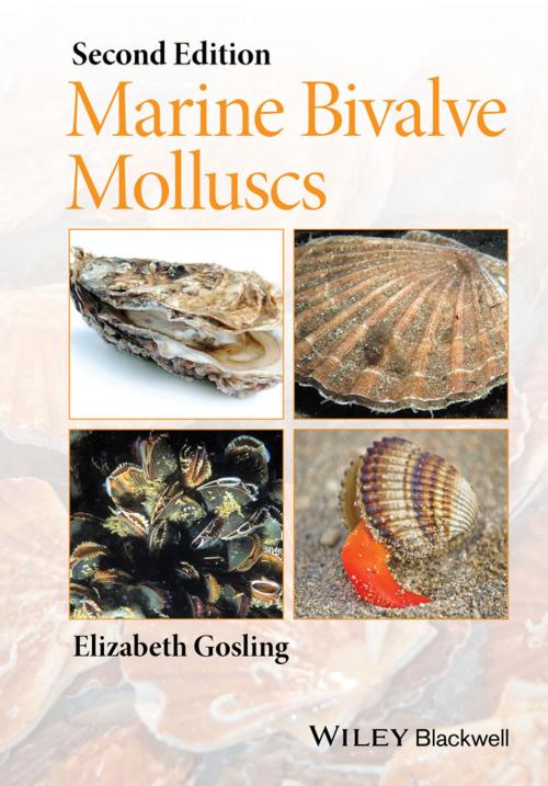 Cover of the book Marine Bivalve Molluscs by Elizabeth Gosling, Wiley