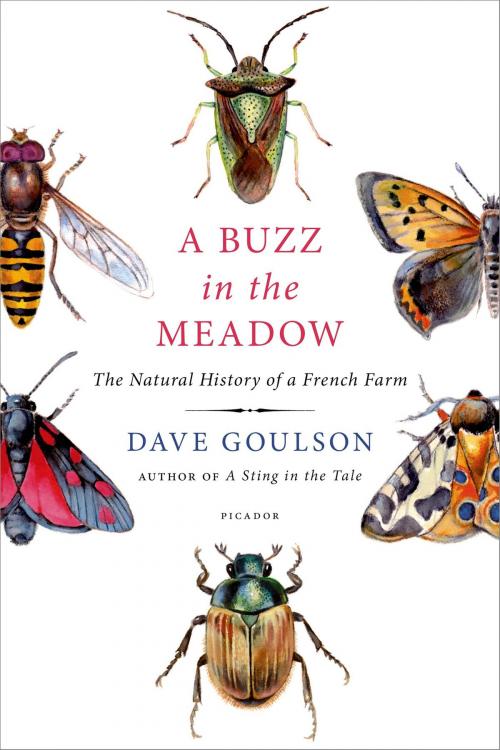Cover of the book A Buzz in the Meadow by Dave Goulson, Picador