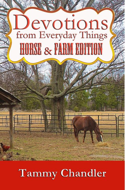 Cover of the book Devotions from Everyday Things: Horse & Farm Edition by Tammy Chandler, WordCrafts Press