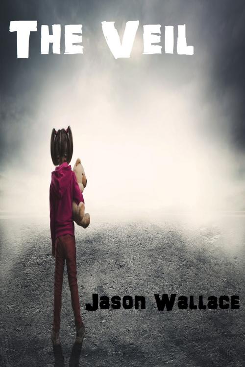 Cover of the book The Veil by Jason Wallace, Jason Wallace