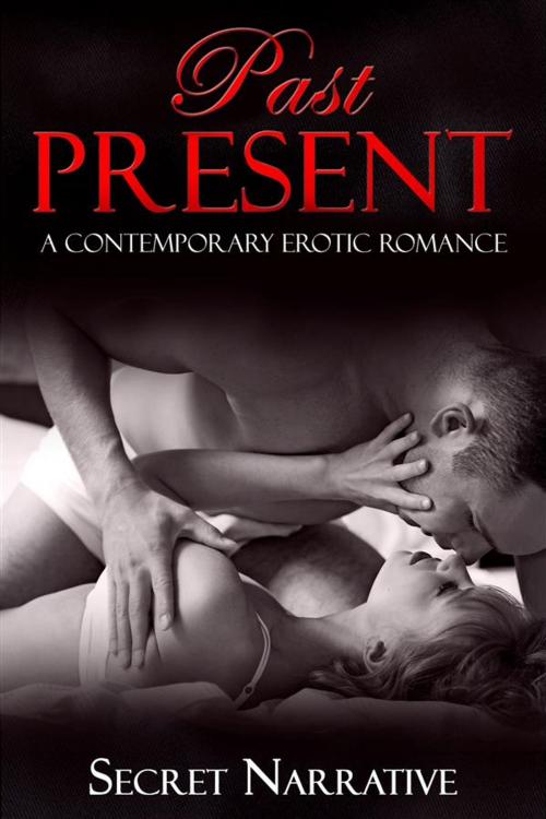 Cover of the book Past Present by Secret Narrative, Boruma Publishing