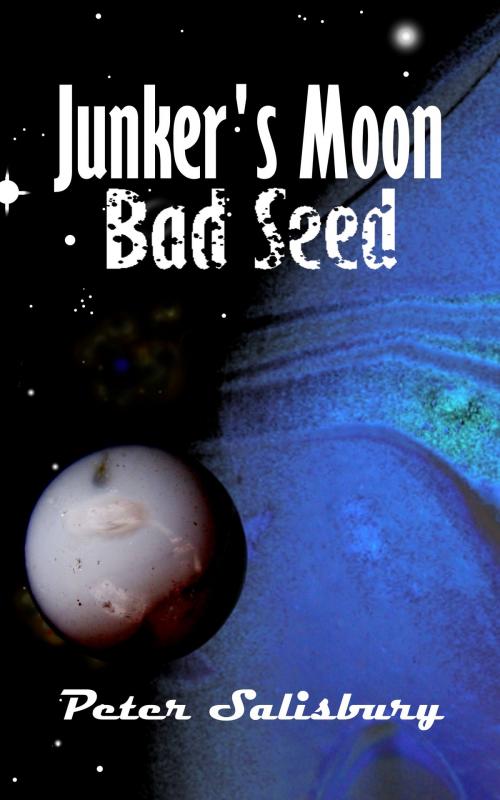 Cover of the book Junker's Moon: Bad Seed by Peter Salisbury, Peter Salisbury