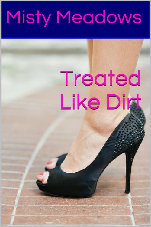 Cover of the book Treated Like Dirt (Femdom, Humiliation) by Misty Meadows, Misty Meadows