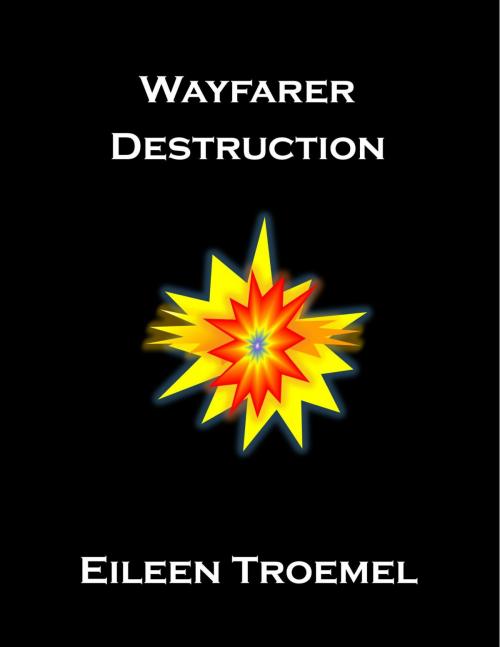 Cover of the book Wayfarer Destruction by Eileen Troemel, Eileen Troemel