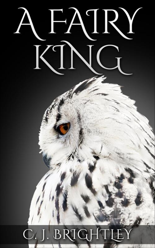Cover of the book A Fairy King by CJ Brightley, CJ Brightley