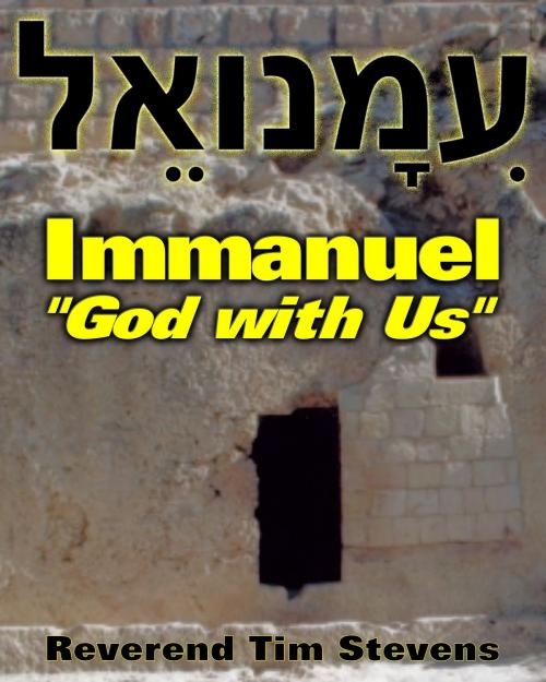Cover of the book Immanuel ~ "God with Us" by Rev. Tim Stevens, Rev. Tim Stevens