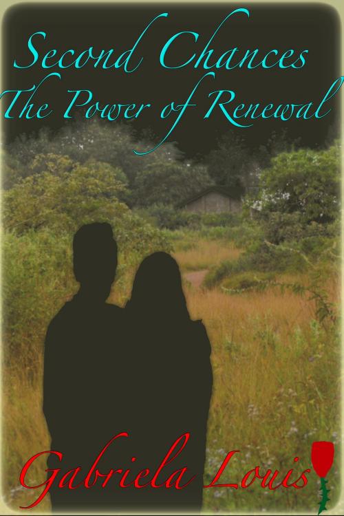 Cover of the book Second Chances: The Power of Renewal by Gabriela Louis, Books For The Hungry
