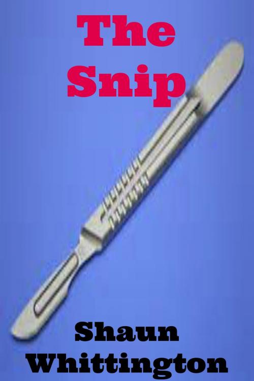 Cover of the book The Snip (a short story) by Shaun Whittington, Shaun Whittington