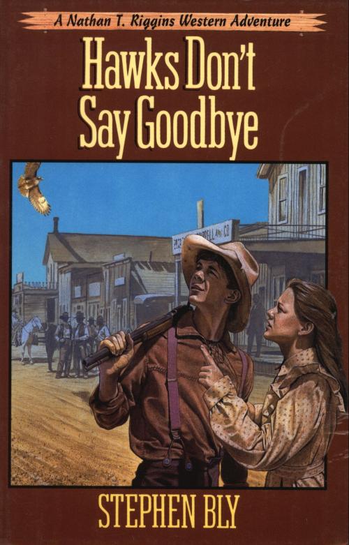 Cover of the book Hawks Don't Say Goodbye by Stephen Bly, Bly Books