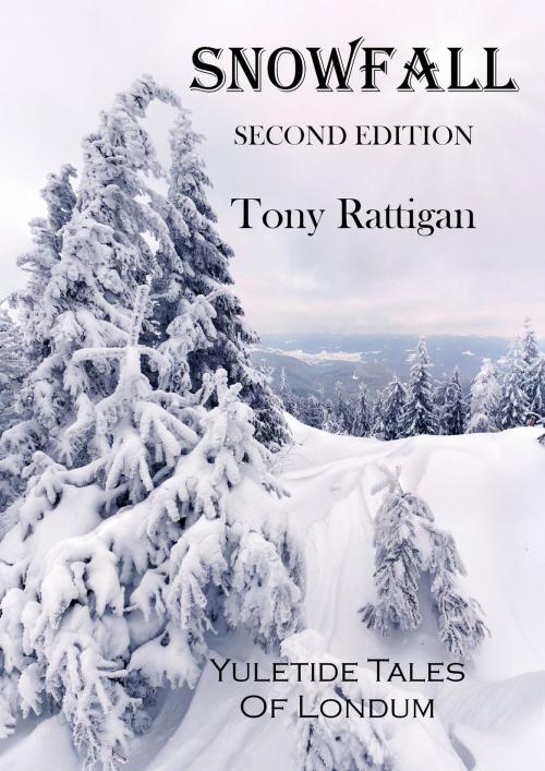 Cover of the book Snowfall: Second Edition by Tony Rattigan, Tony Rattigan