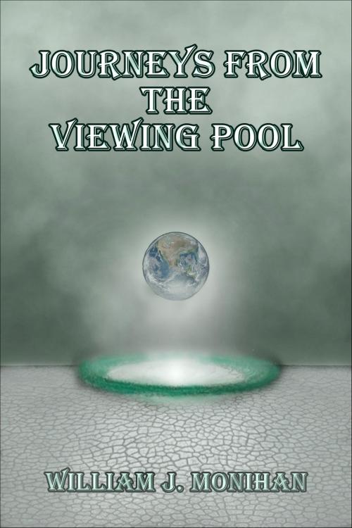 Cover of the book Journeys from the Viewing Pool by William J Monihan, William J Monihan