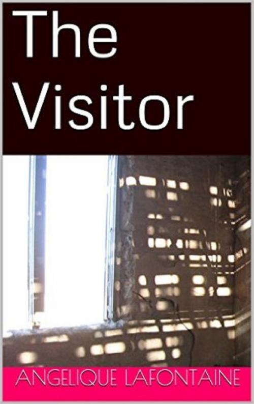 Cover of the book The Visitor by Angelique LaFontaine, Angelique LaFontaine
