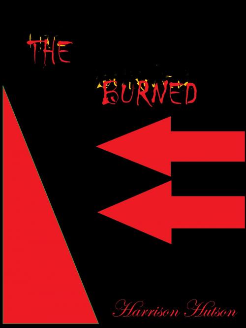Cover of the book The Burned by Harrison Hutson, Harrison Hutson