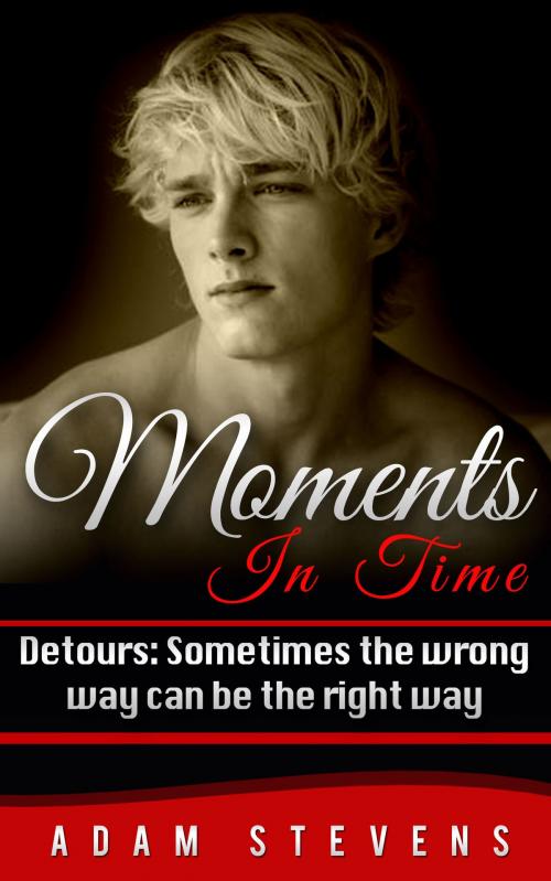 Cover of the book Moments In Time Detours: Sometimes The Wrong Way Can Be The Right Way by Adam Stevens, Adam Stevens