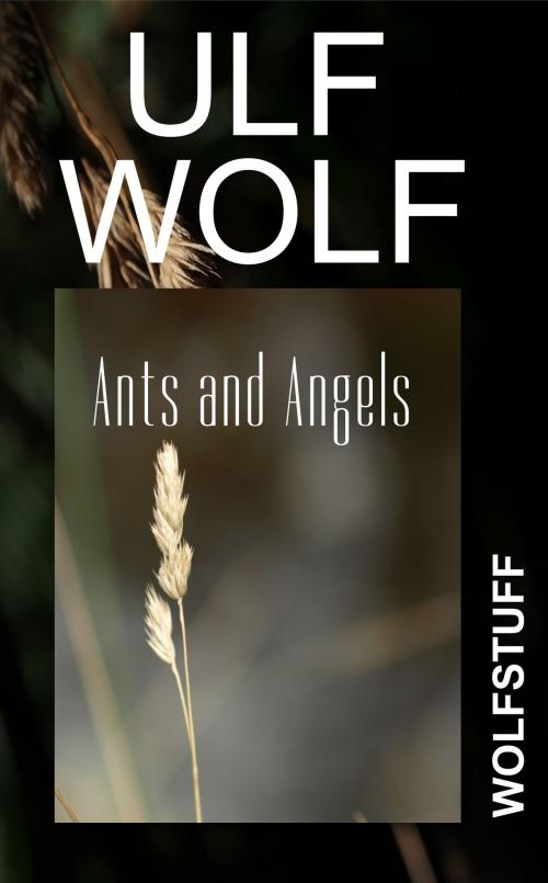 Cover of the book Ants and Angels by Ulf Wolf, Ulf Wolf