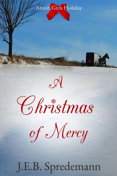 Cover of the book A Christmas of Mercy (Amish Girls Holiday) by J.E.B. Spredemann, J.E.B. Spredemann