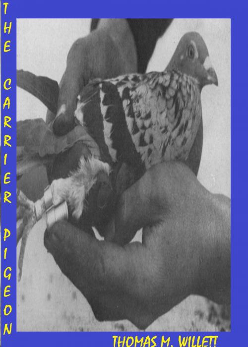 Cover of the book The Carrier Pigeon by Thomas M. Willett, Thomas M. Willett