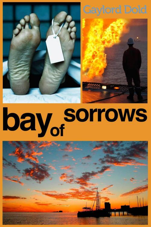 Cover of the book Bay of Sorrows by Gaylord Dold, Gaylord Dold