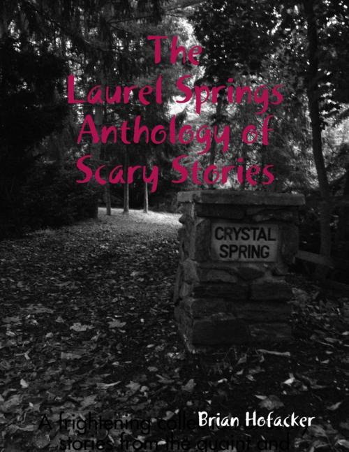 Cover of the book Laurel Springs Anthology of Scary Stories by Brian Hofacker, Lulu.com