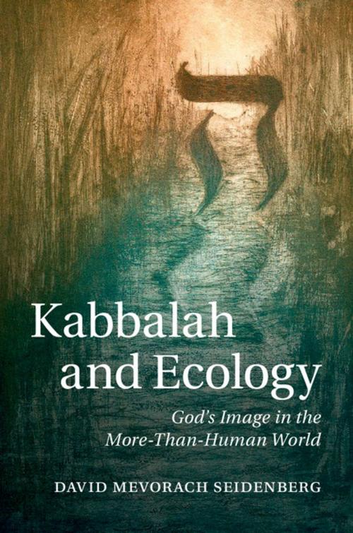 Cover of the book Kabbalah and Ecology by David Mevorach Seidenberg, Cambridge University Press