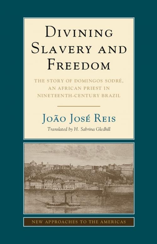 Cover of the book Divining Slavery and Freedom by João José Reis, Cambridge University Press