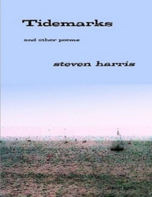 Cover of the book Tidemarks by Steven Harris, Lulu.com