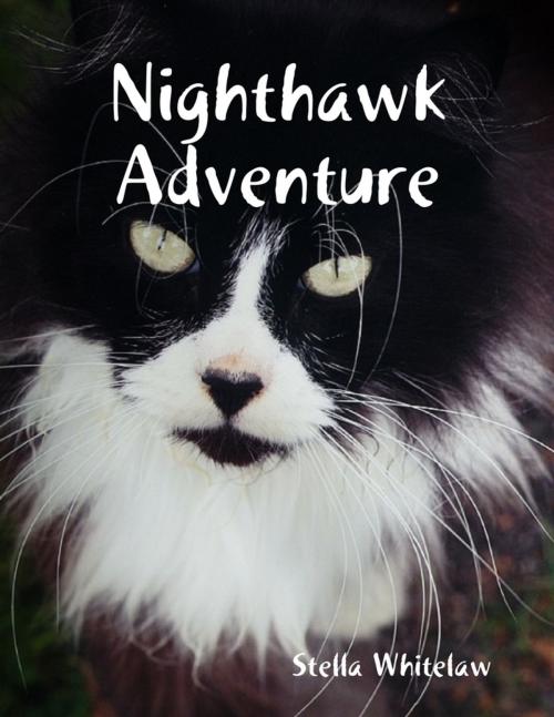 Cover of the book Nighthawk Adventure by Stella Whitelaw, Lulu.com