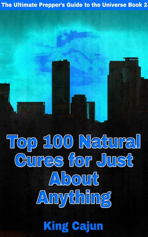 Cover of the book Top 100 Natural Cures for Just about Anything! by WILLIAM HAYNES, King Cajun Publishing