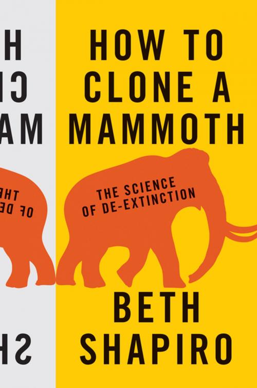 Cover of the book How to Clone a Mammoth by Beth Shapiro, Princeton University Press