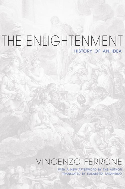 Cover of the book The Enlightenment by Vincenzo Ferrone, Vincenzo Ferrone, Princeton University Press