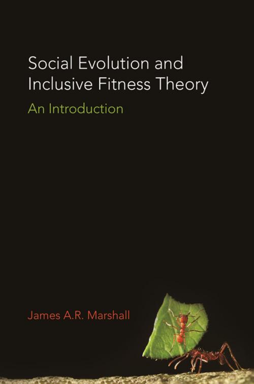 Cover of the book Social Evolution and Inclusive Fitness Theory by James A.R. Marshall, Princeton University Press