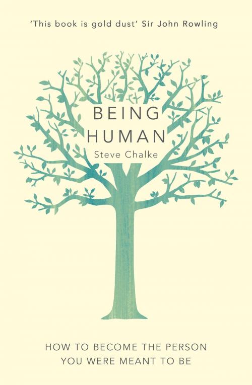 Cover of the book Being Human by Steve Chalke, Hodder & Stoughton