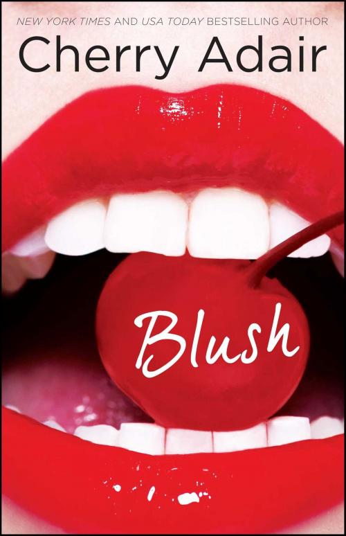 Cover of the book Blush by Cherry Adair, Gallery Books
