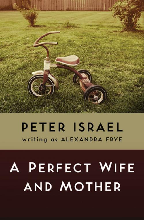 Cover of the book A Perfect Wife and Mother by Peter Israel, MysteriousPress.com/Open Road