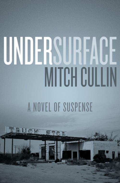Cover of the book UnderSurface by Mitch Cullin, The Permanent Press