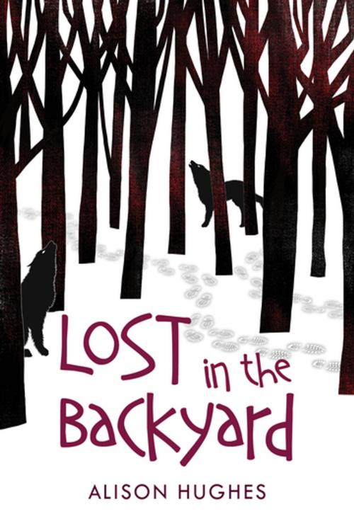 Cover of the book Lost in the Backyard by Alison Hughes, Orca Book Publishers