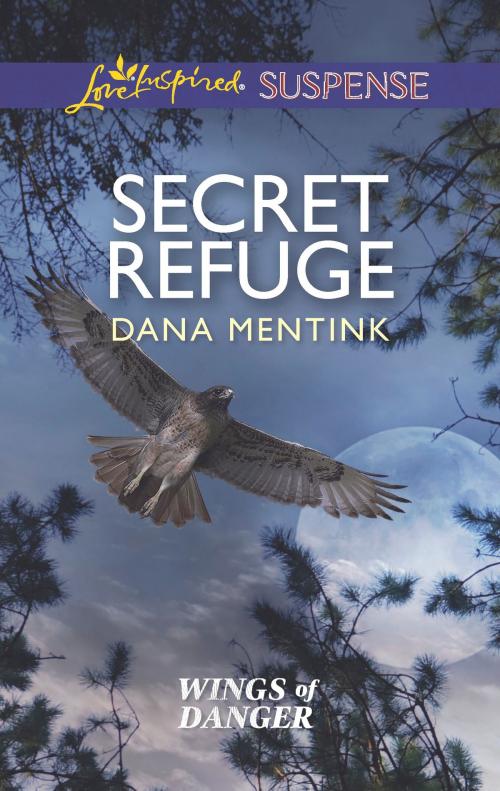 Cover of the book Secret Refuge by Dana Mentink, Harlequin